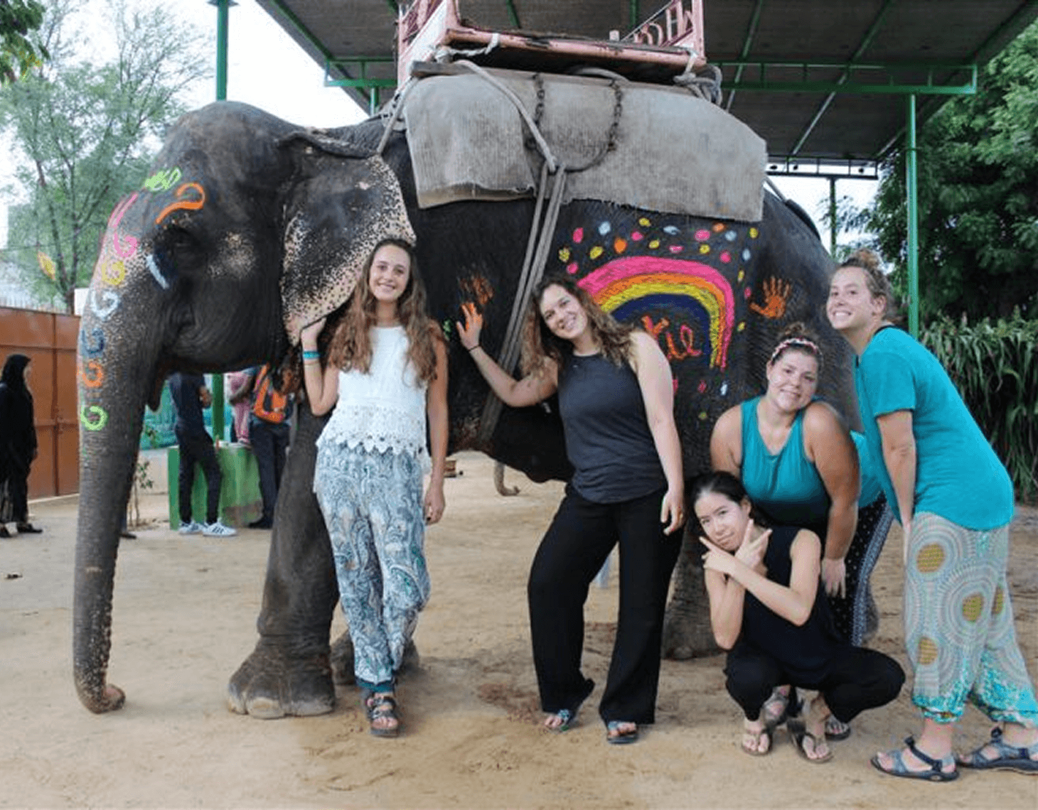 Community highlight 1