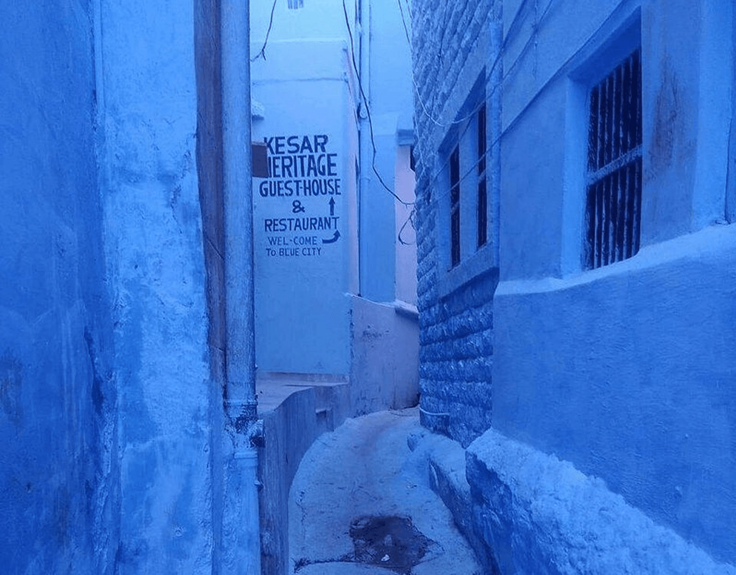 Community highlight 5