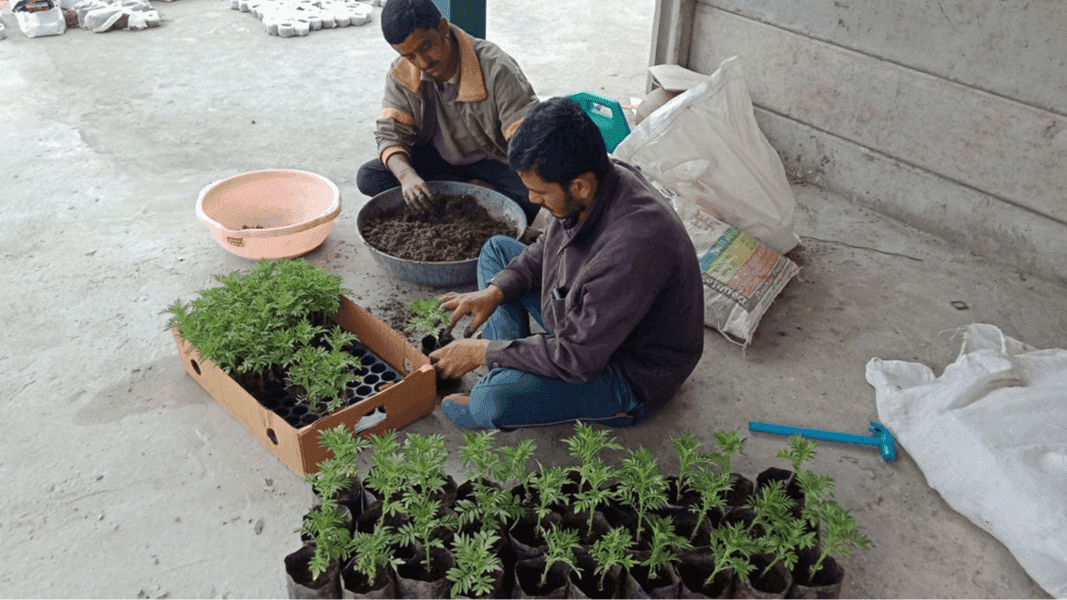 Exploring Organic Farming in Udaipur: A Sustainable Journey