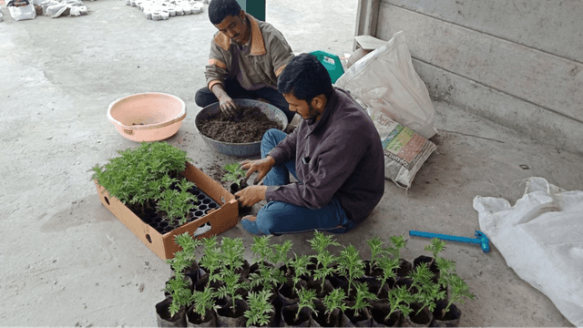 Exploring Organic Farming in Udaipur: A Sustainable Journey