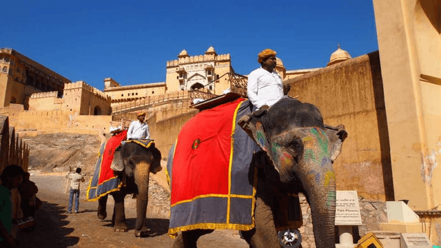 Amer Fort: Transitioning from Elephants to EVs