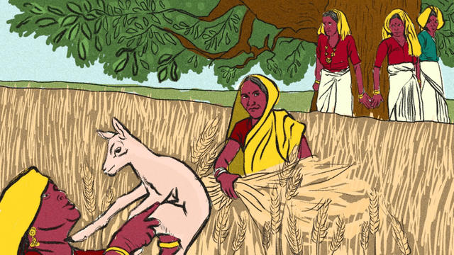 Conserving Nature: A Way of Life for Bishnois 