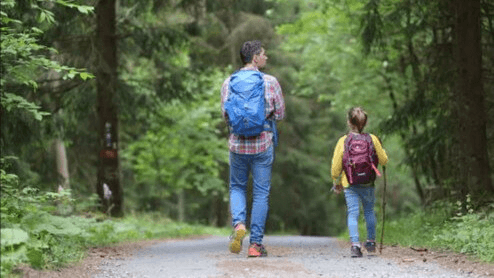 Top Hikes to Explore Across Rajasthan