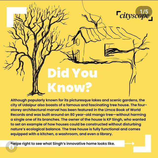 Explore Udaipur’s Unique Four-Storey Treehouse Built Around a 40-Foot 