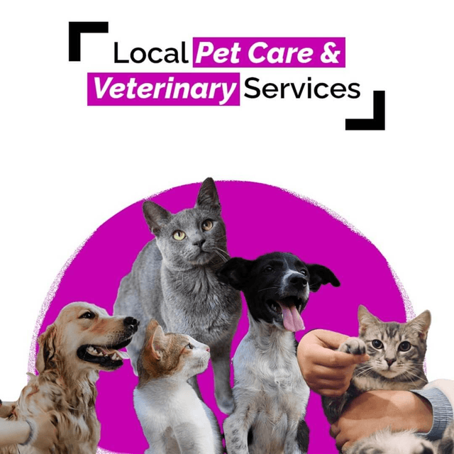 Local Pet Care & Veterinary Services In Town