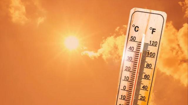 Mumbai Faces Surge in Heatstroke Cases Amid Rising Temperatures