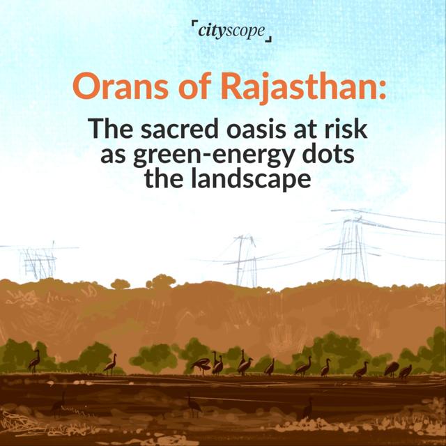 Rajasthan's Sacred Orans: Cultural Heritage at Risk