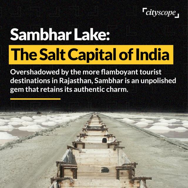Lost in the Timeless Allure of Sambhar Lake: A Scenic Retreat