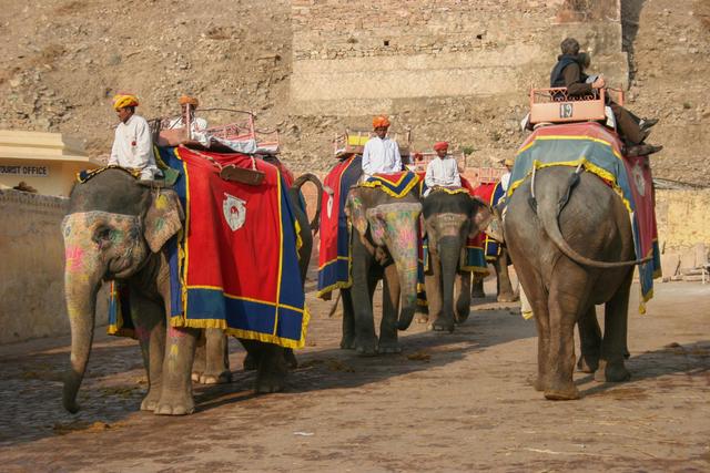 The Ultimate Rajasthan Festival Itinerary Guide (2024–2030)