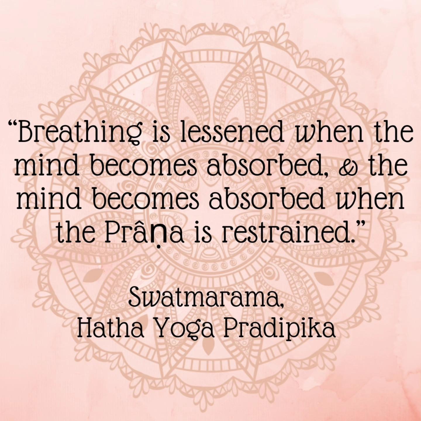 The Equilibrium Series, wellness residency program - image 4