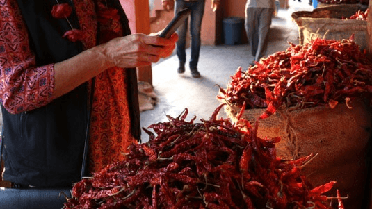 Taste The Flavours Of Mewar 2