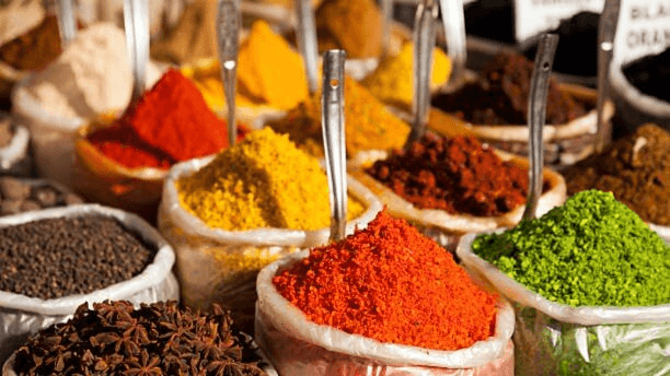 Taste The Flavours Of Mewar 9