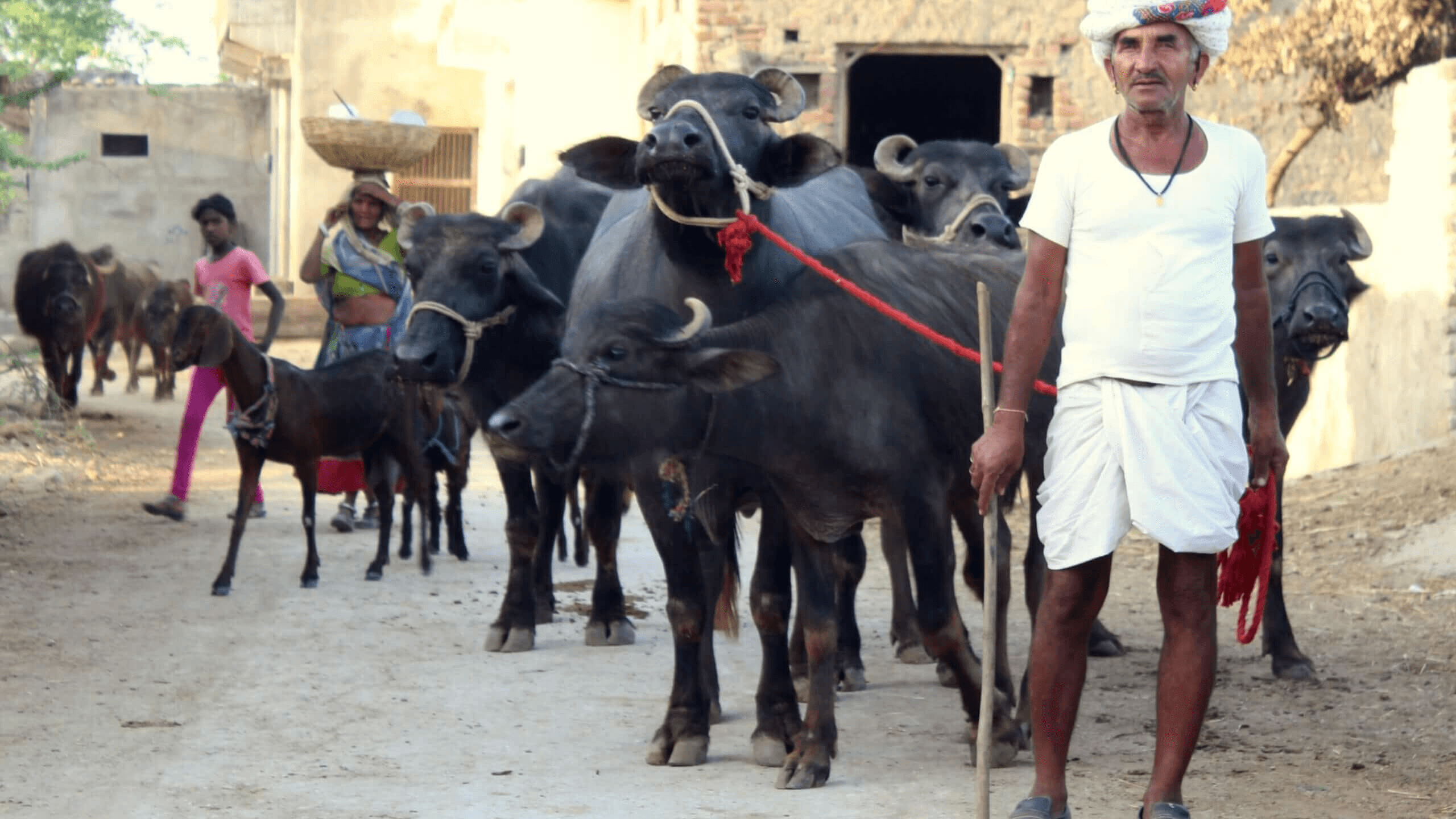 Explore The Essence Of Indian Villages 2