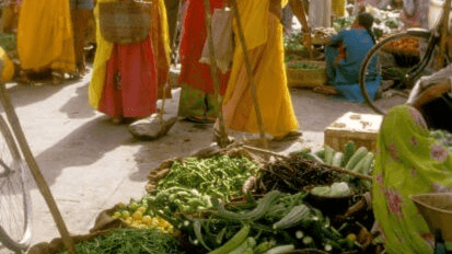 A Walk Through The Legacy Of Udaipur