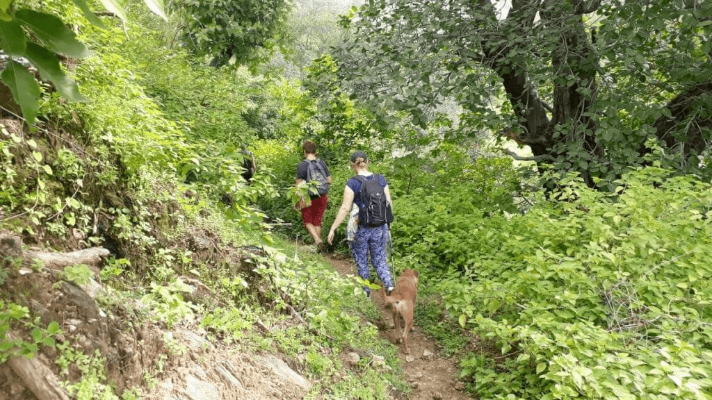 Wildlife Trek at Kumbhalgarh