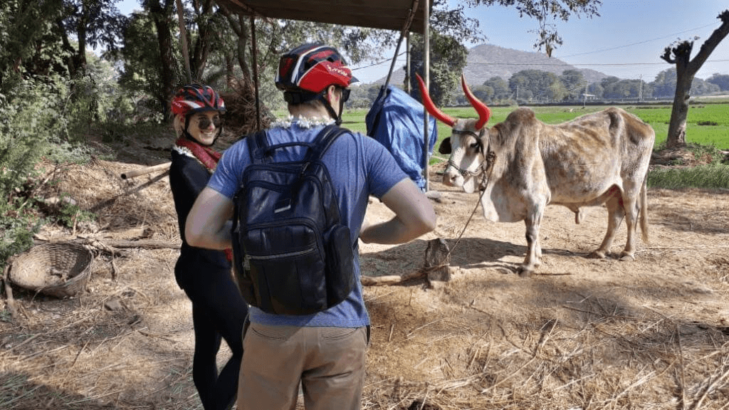Udaipur Cityside Cycling experience