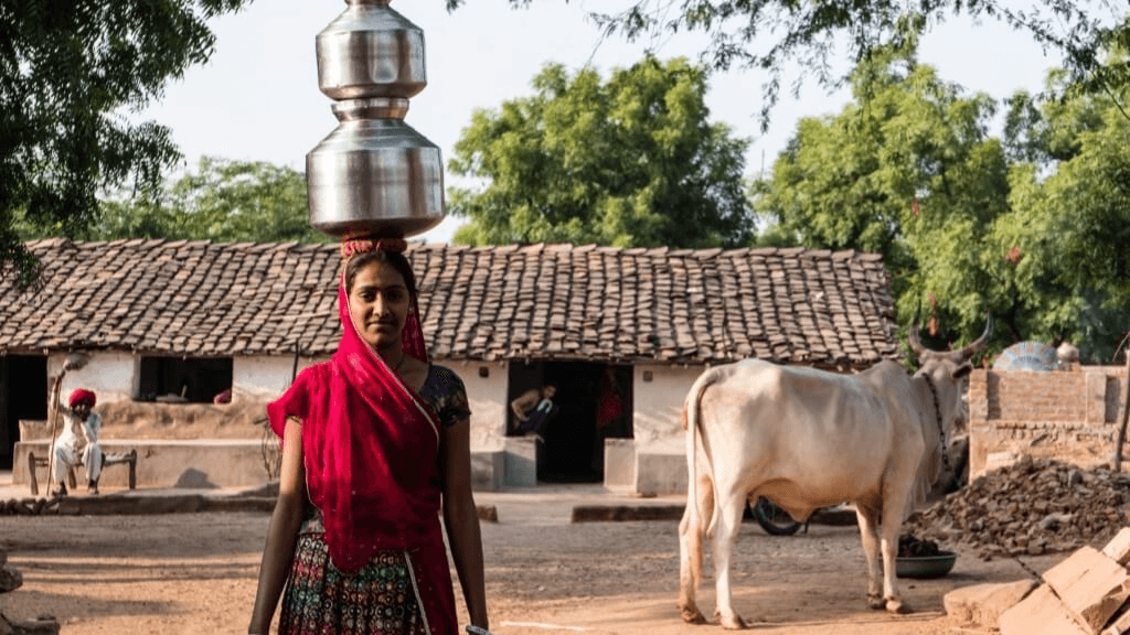 Wildlife Trek at Kumbhalgarh 4