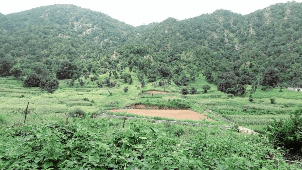 Wildlife Trek at Kumbhalgarh 8