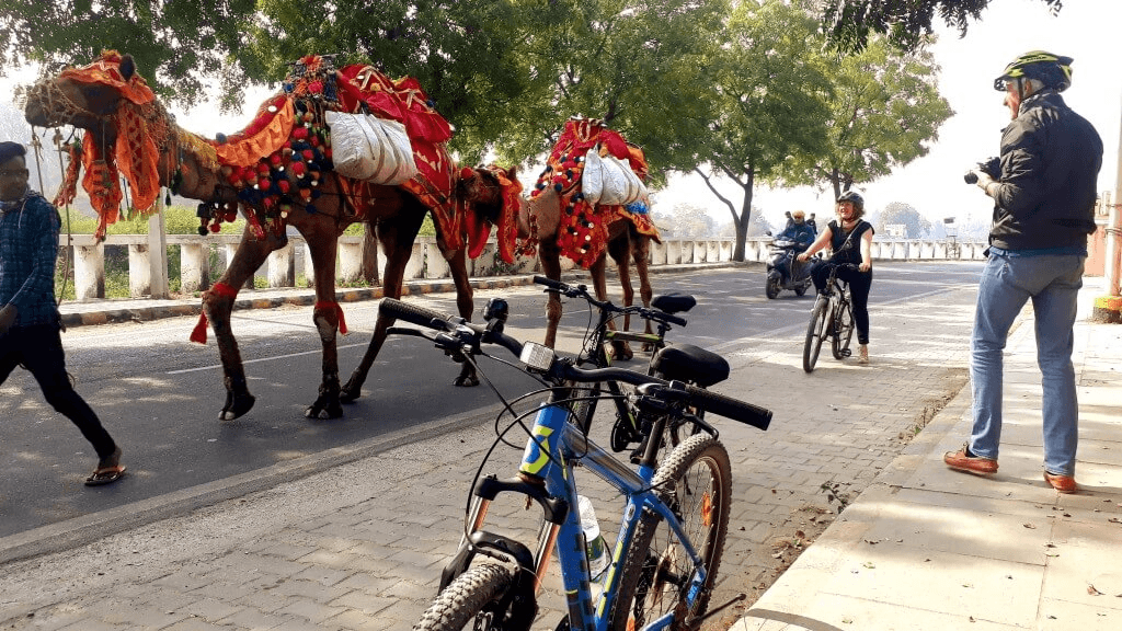 Cycling Around Blue Waters