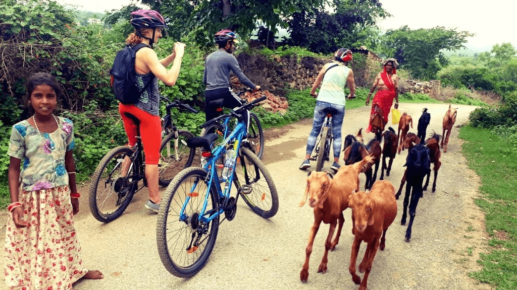 Udaipur Cityside Cycling experience 5