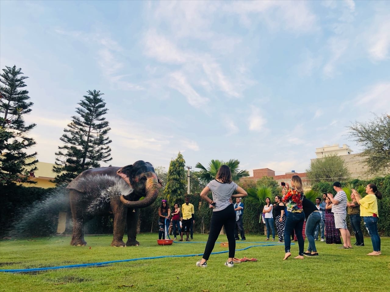 Experiences with elephants at Elejungle 7