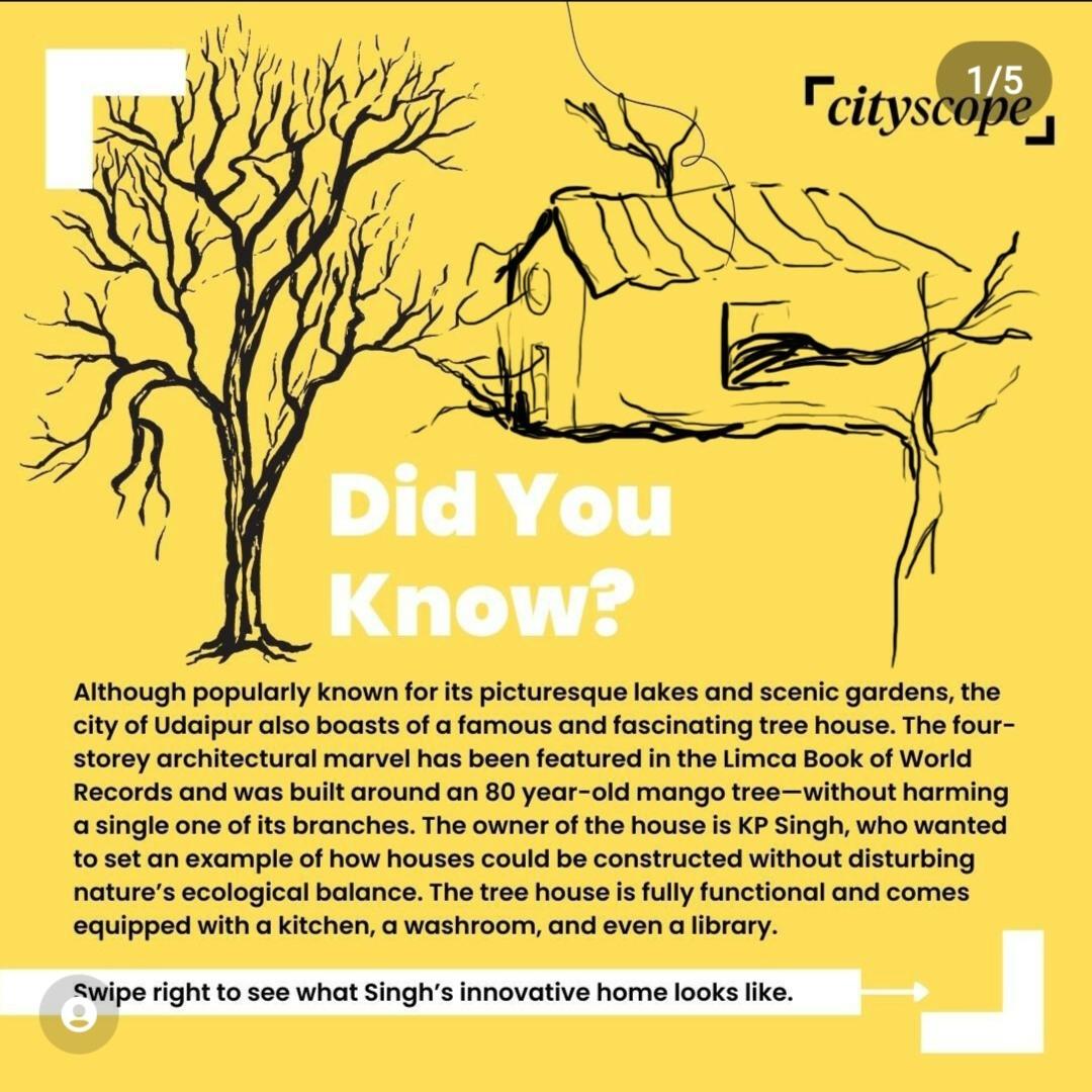 Explore Udaipur’s Unique Four-Storey Treehouse Built Around a 40-Foot