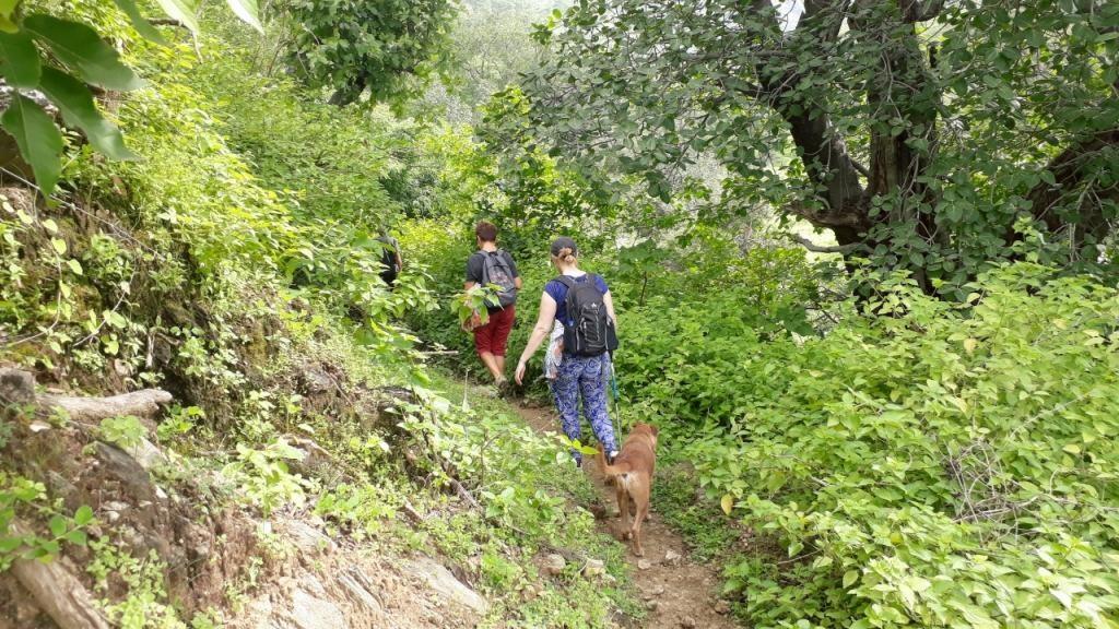 Wildlife Trek at Kumbhalgarh