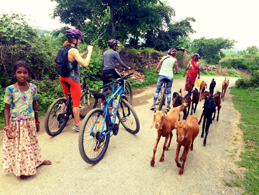Udaipur Cityside Cycling experience