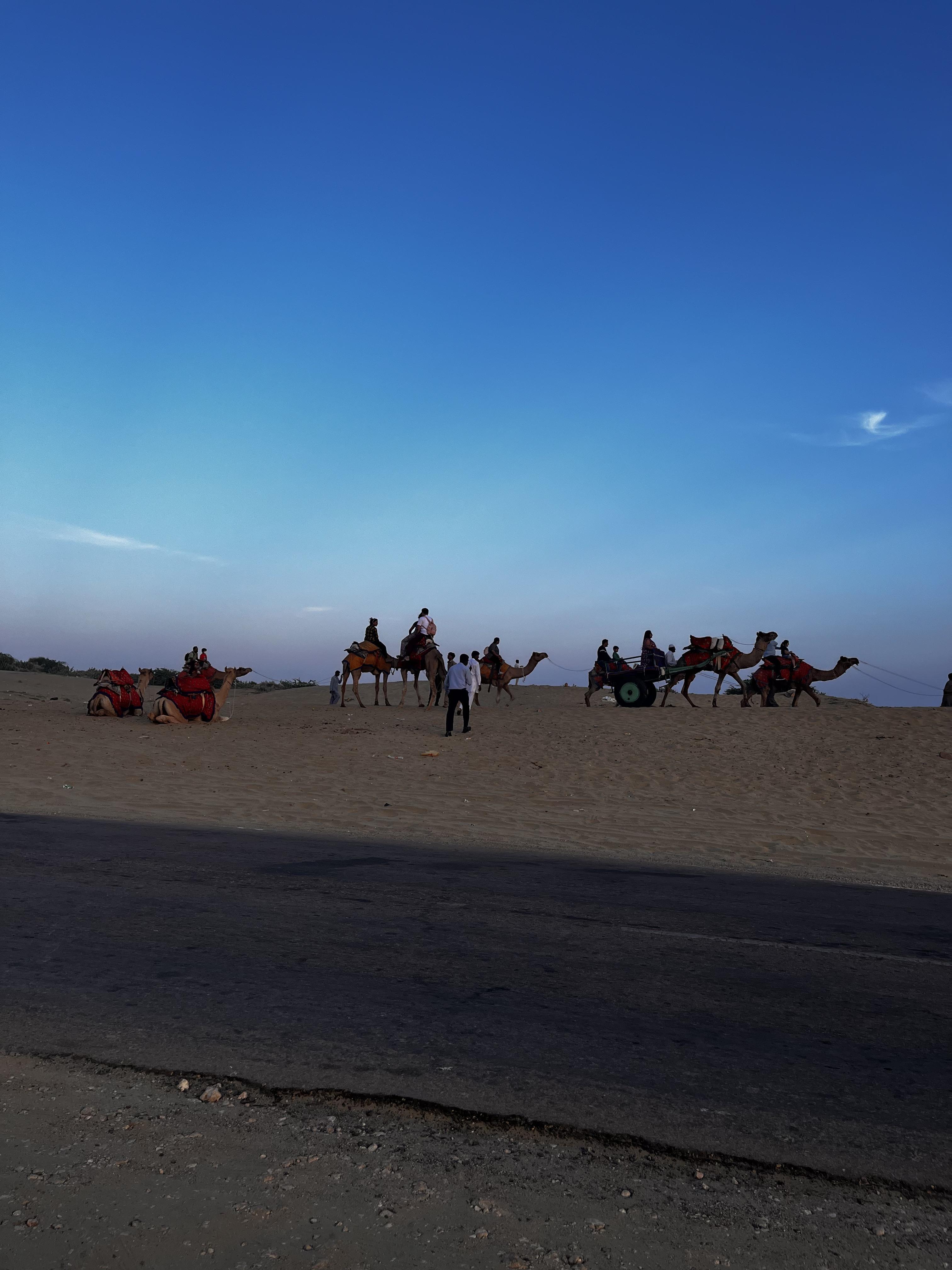 Sunset Camel Safari