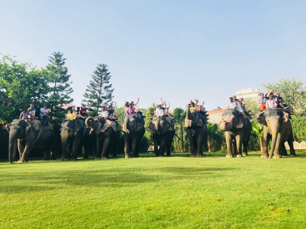 Experiences with elephants at Elejungle