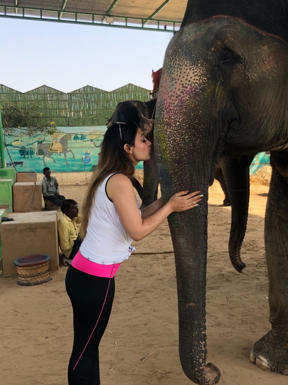 Experiences with elephants at Elejungle 3