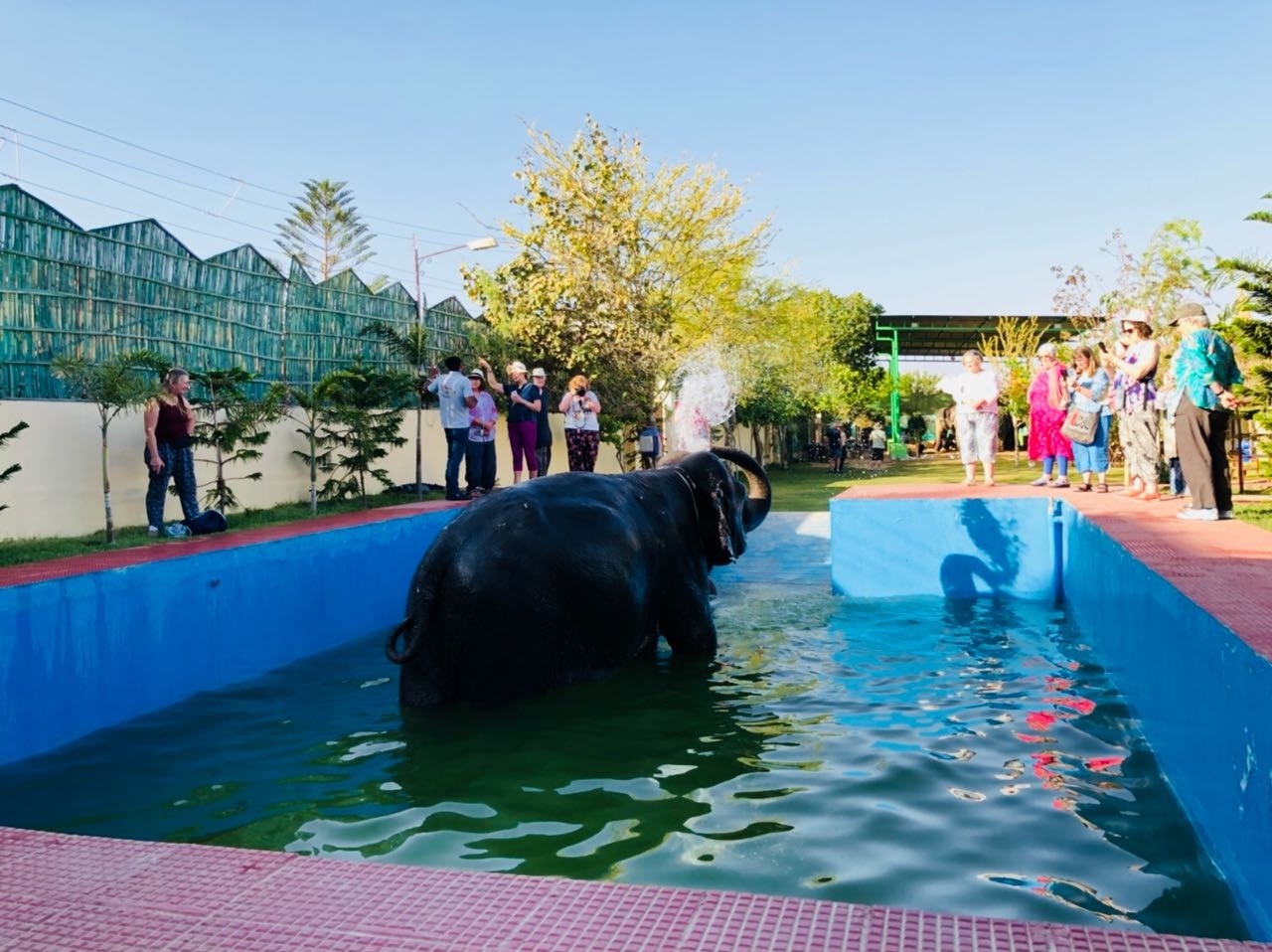 Experiences with elephants at Elejungle 4