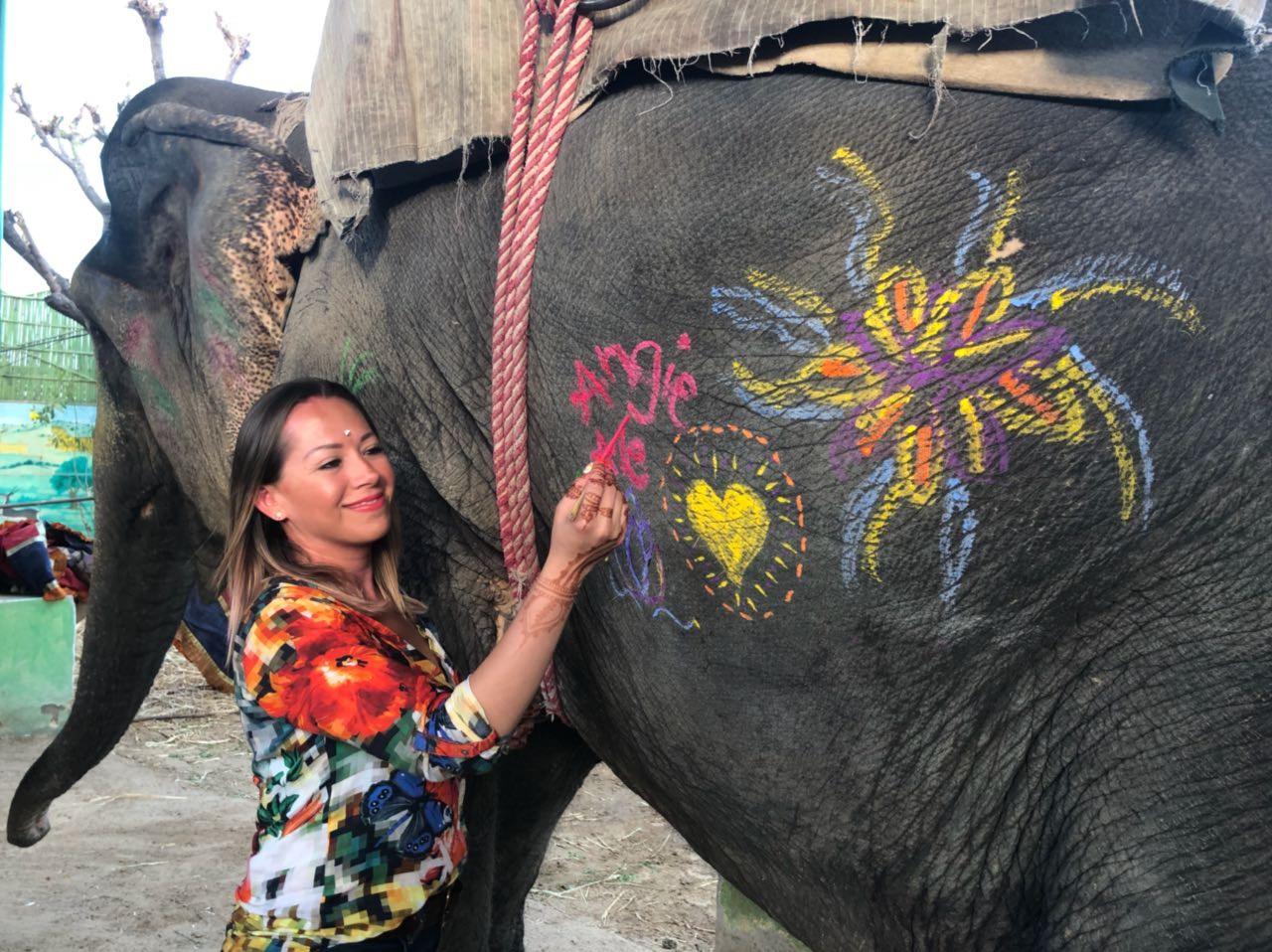 Experiences with elephants at Elejungle