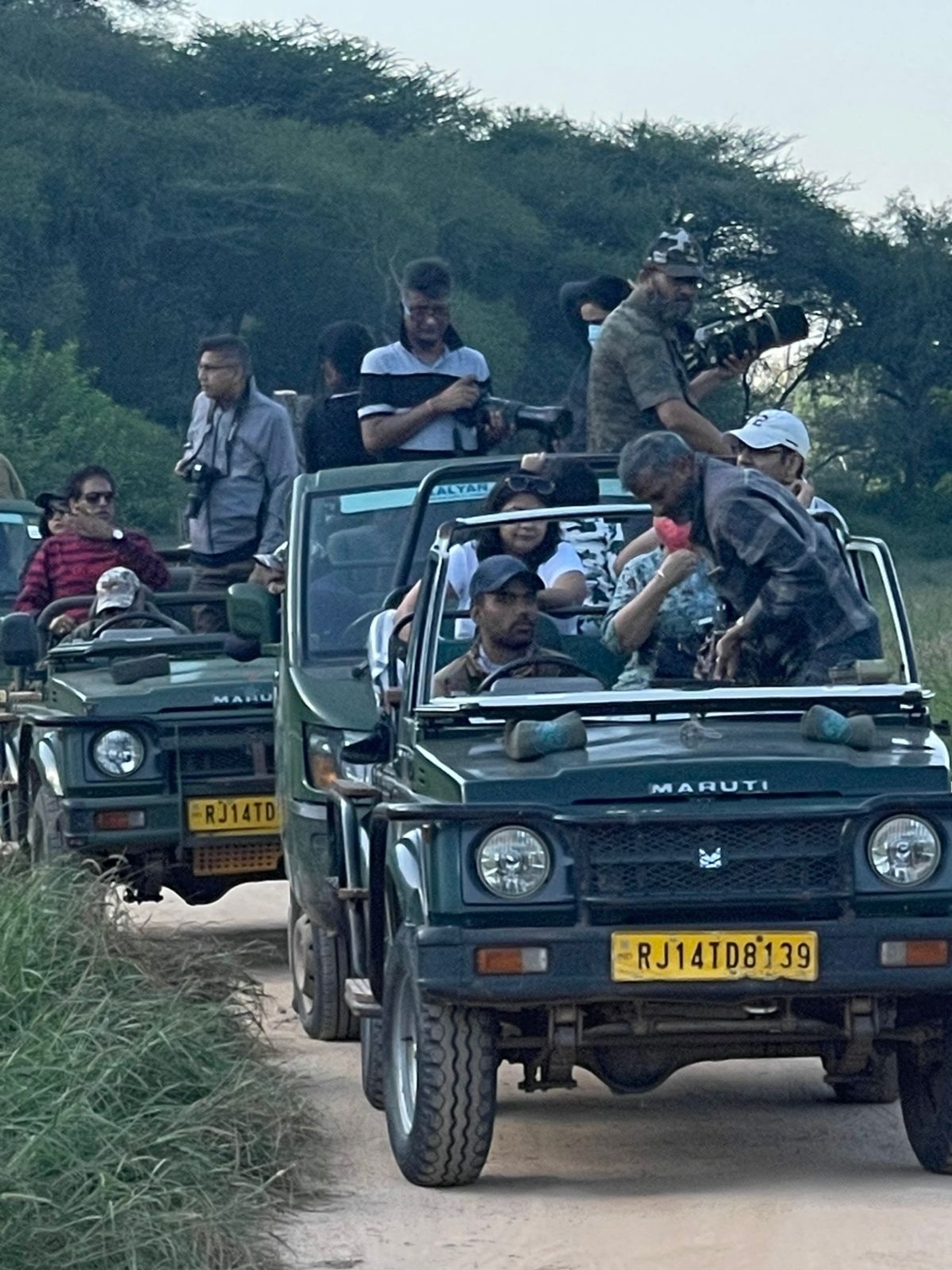 Leopard Safari in Jaipur 4