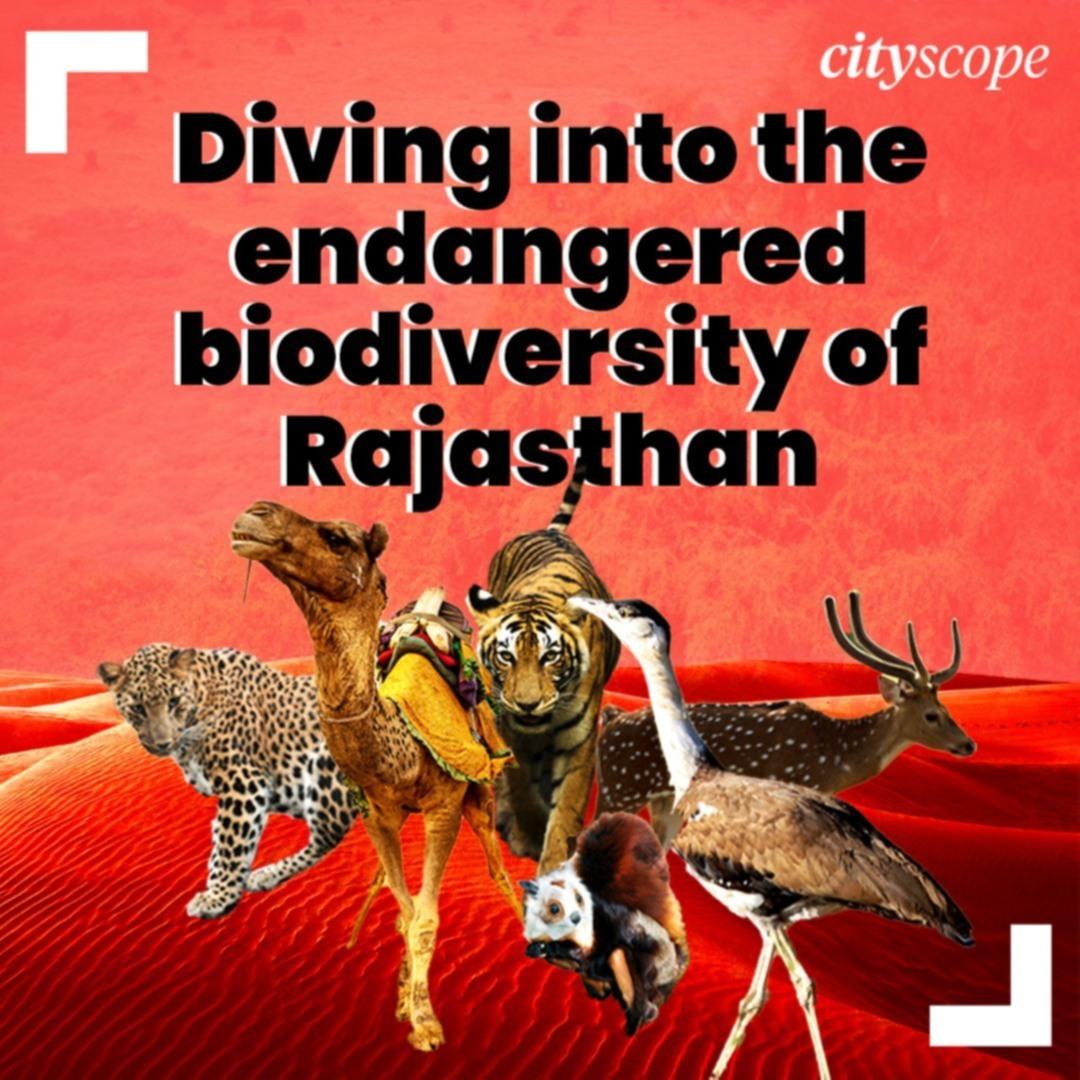 Rajasthan’s Endangered Biodiversity: A Closer Look