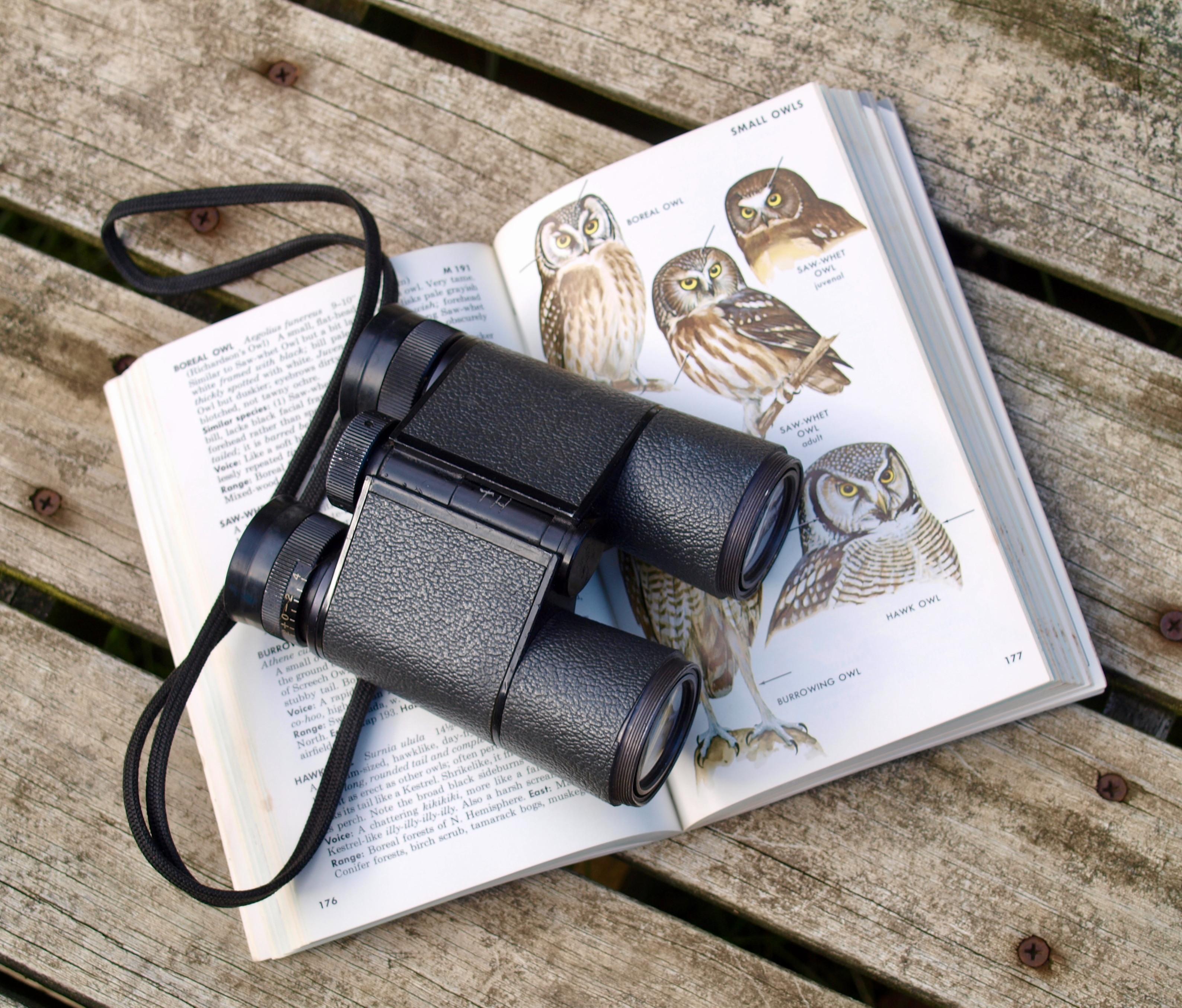 Bird Watching Experience