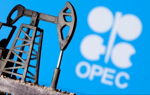 OPEC's Oil Output Cut: Impact on Petrol Prices