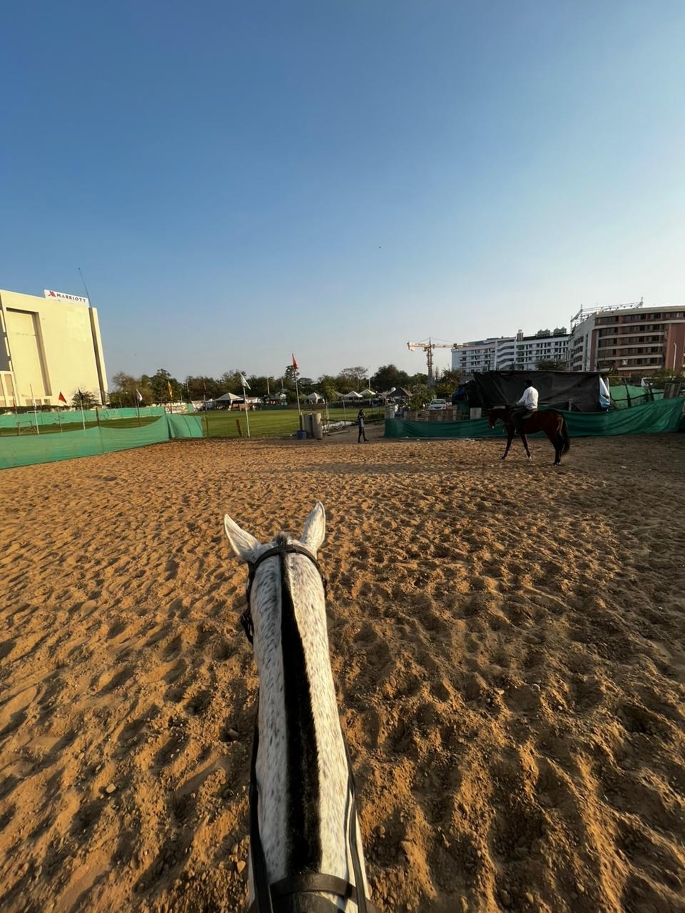 Horse Riding Workshop (30 Days) 2
