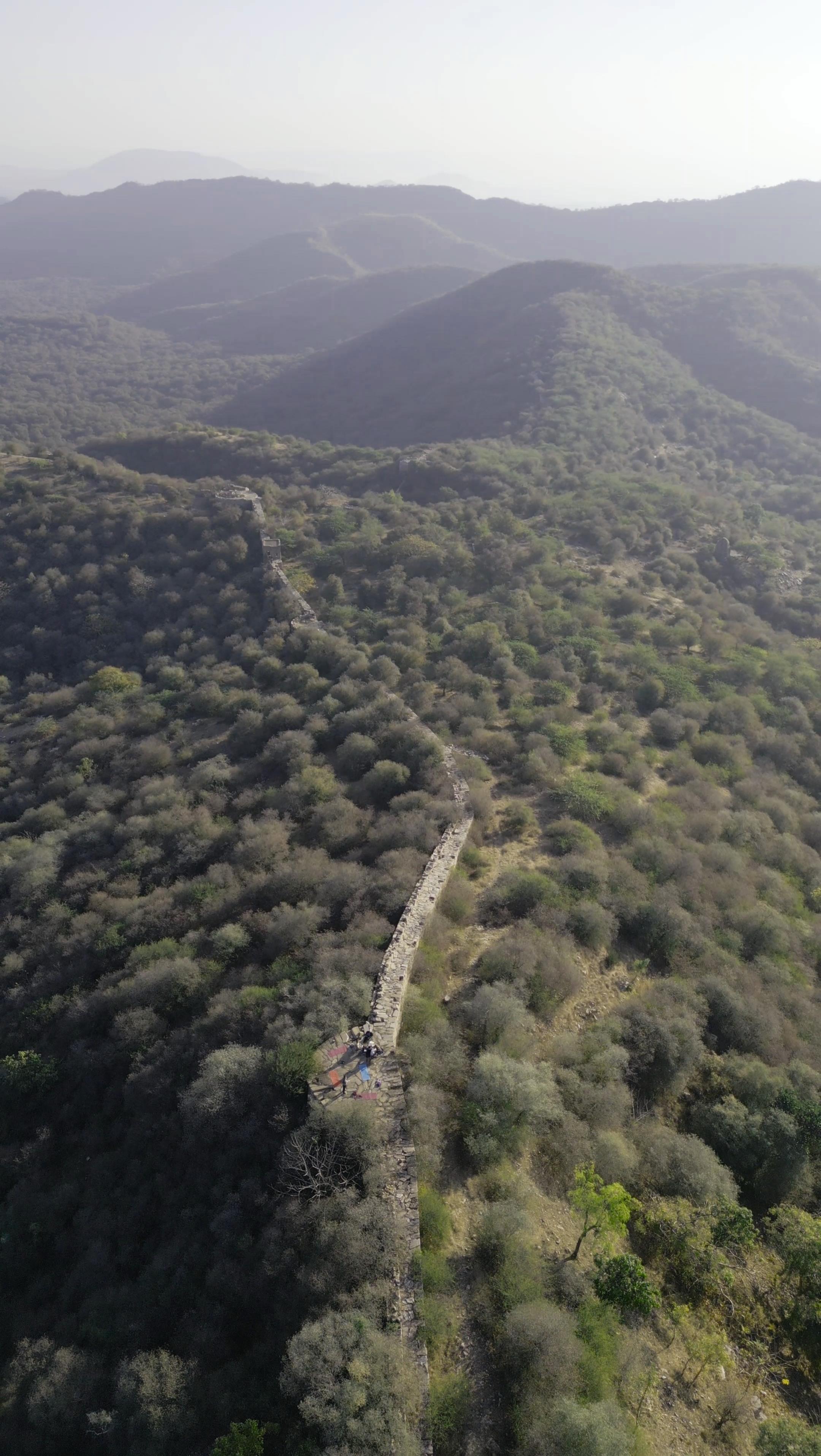 Aravalli Community Trek