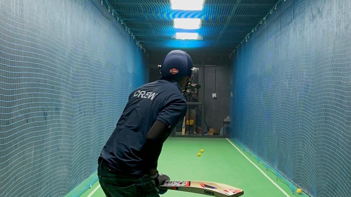 Turbo Cricket with Pink Falcon