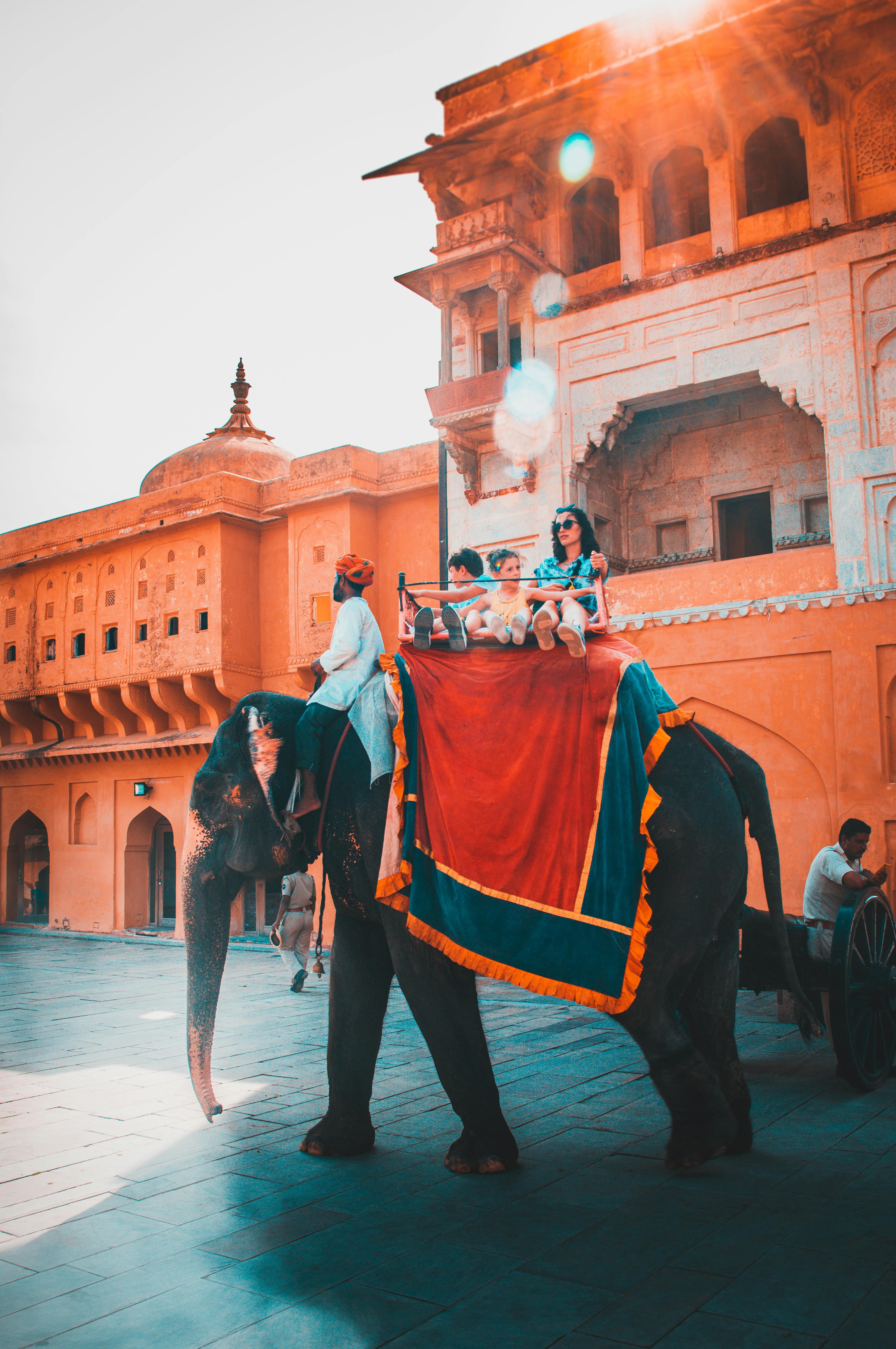From Pink City Grandeur to Tiger Territory Wilds