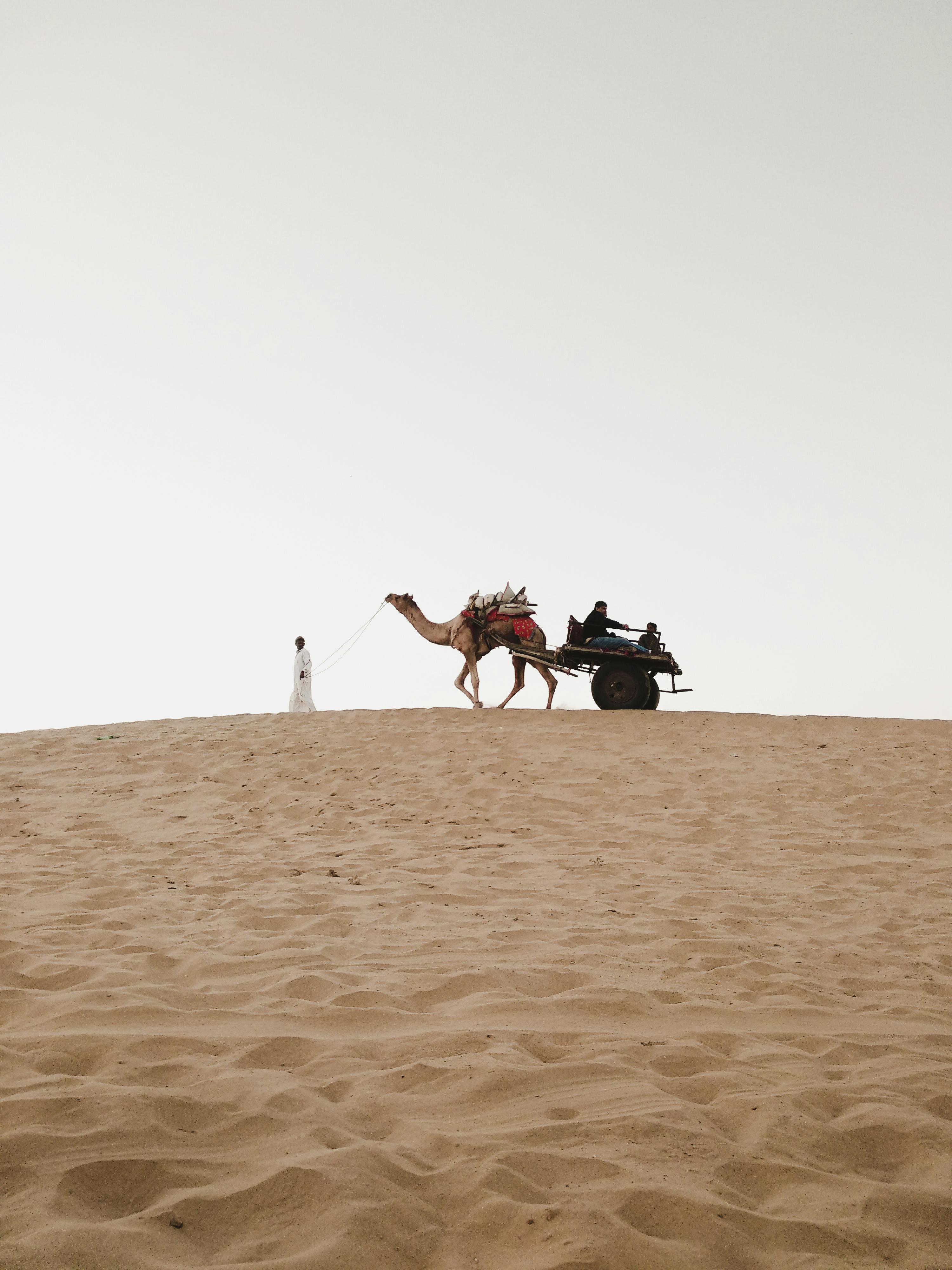 Discover the Golden Charm of Jaisalmer