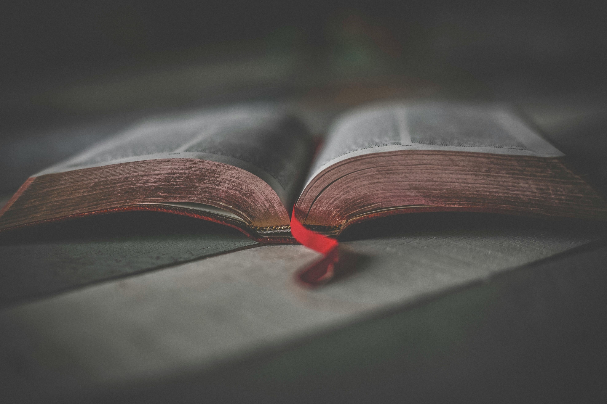 Insights from Bhagavad Gita, Your Daily Dose of Divine Wisdom