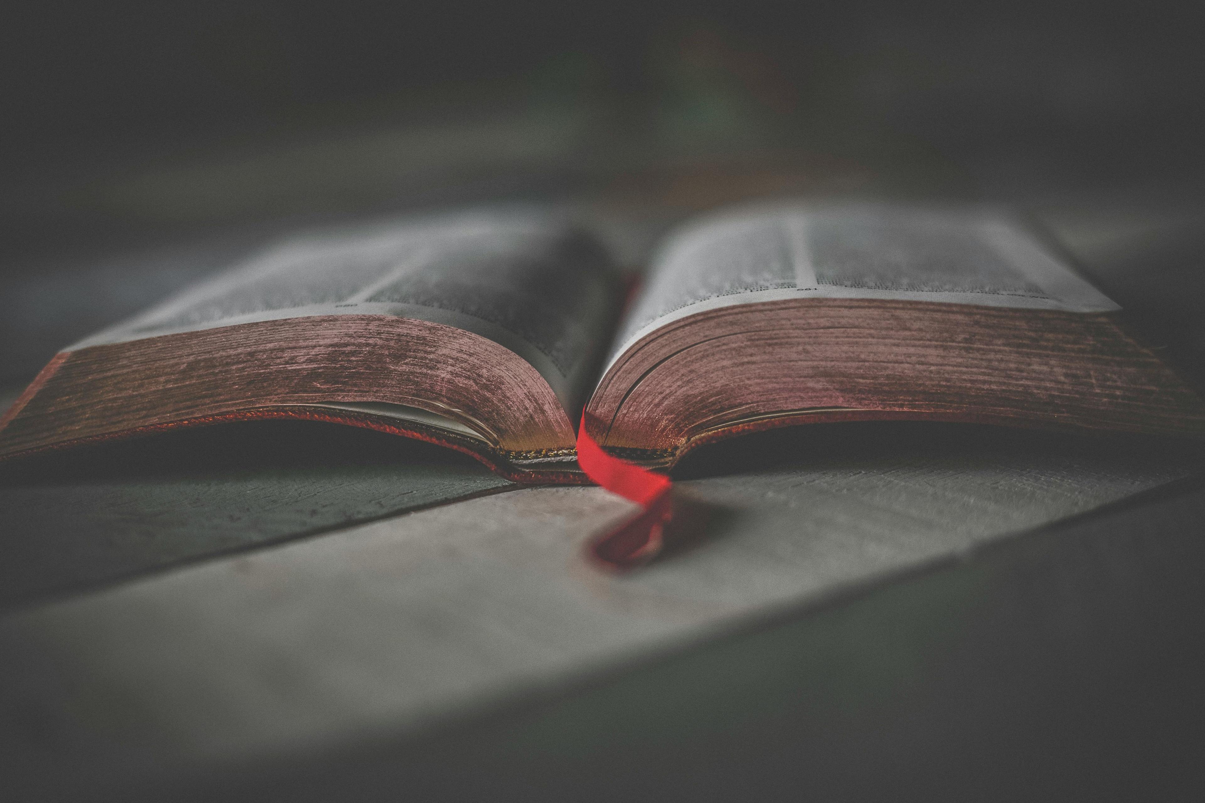 Insights from Bhagavad Gita, Your Daily Dose of Divine Wisdom