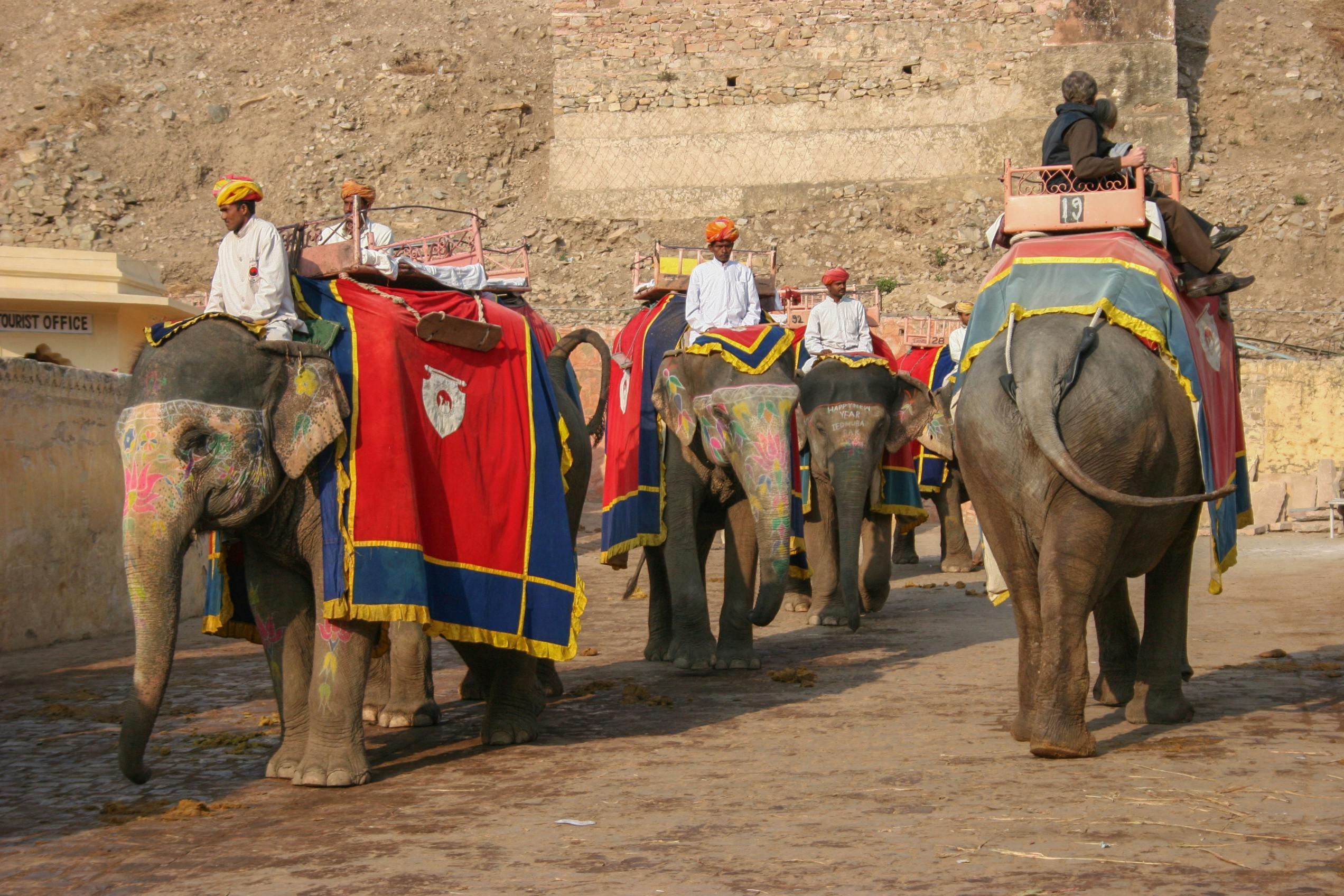 The Ultimate Rajasthan Festival Itinerary Guide (2024–2030)