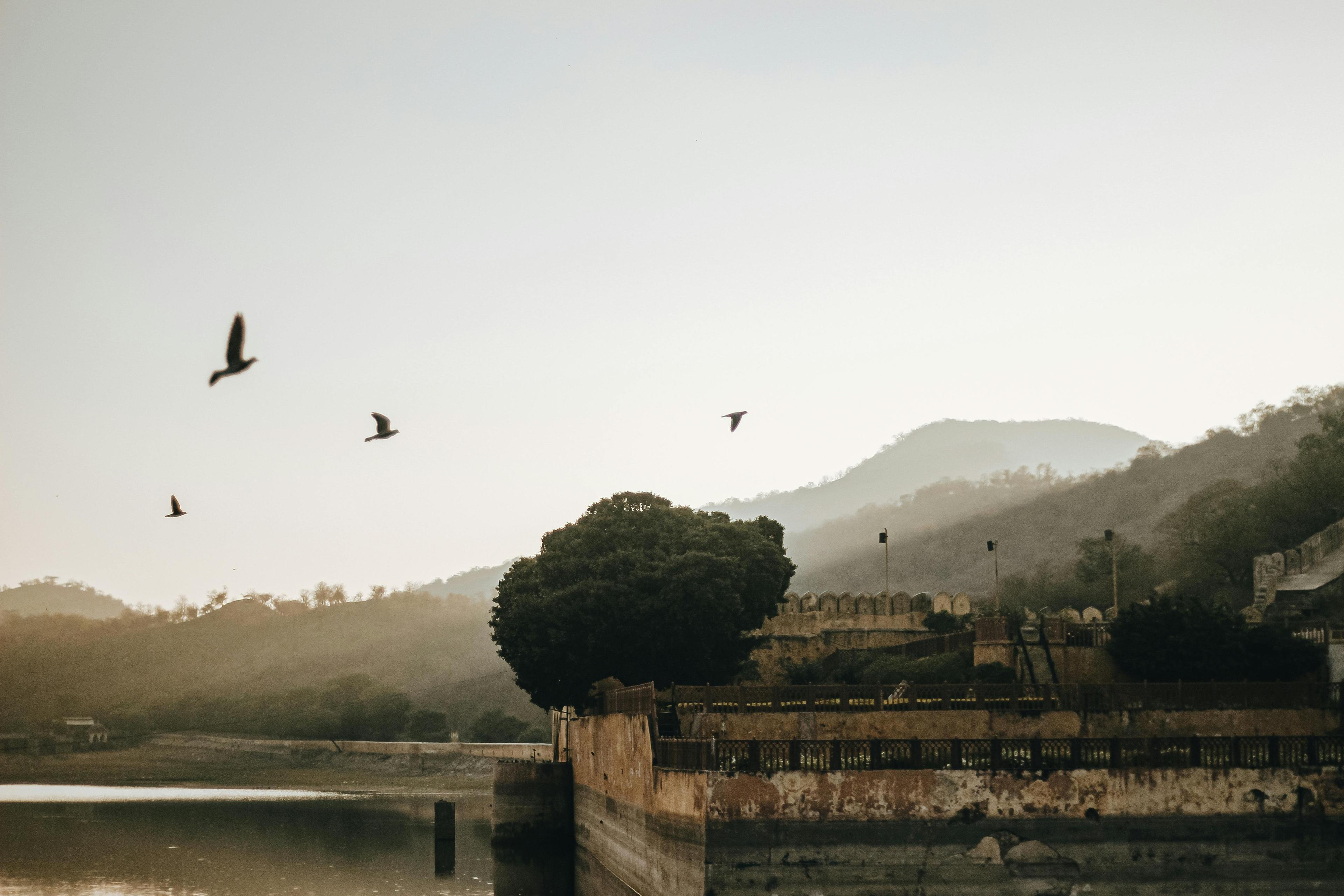 The Udaipur Weekend Edit